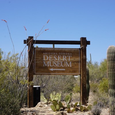 Arizona-Sonora Desert Museum