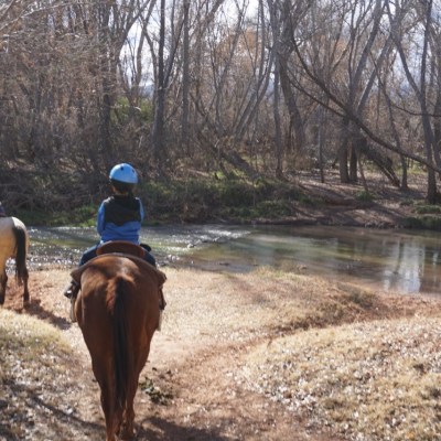 We loved crossing the river during our trail ride.