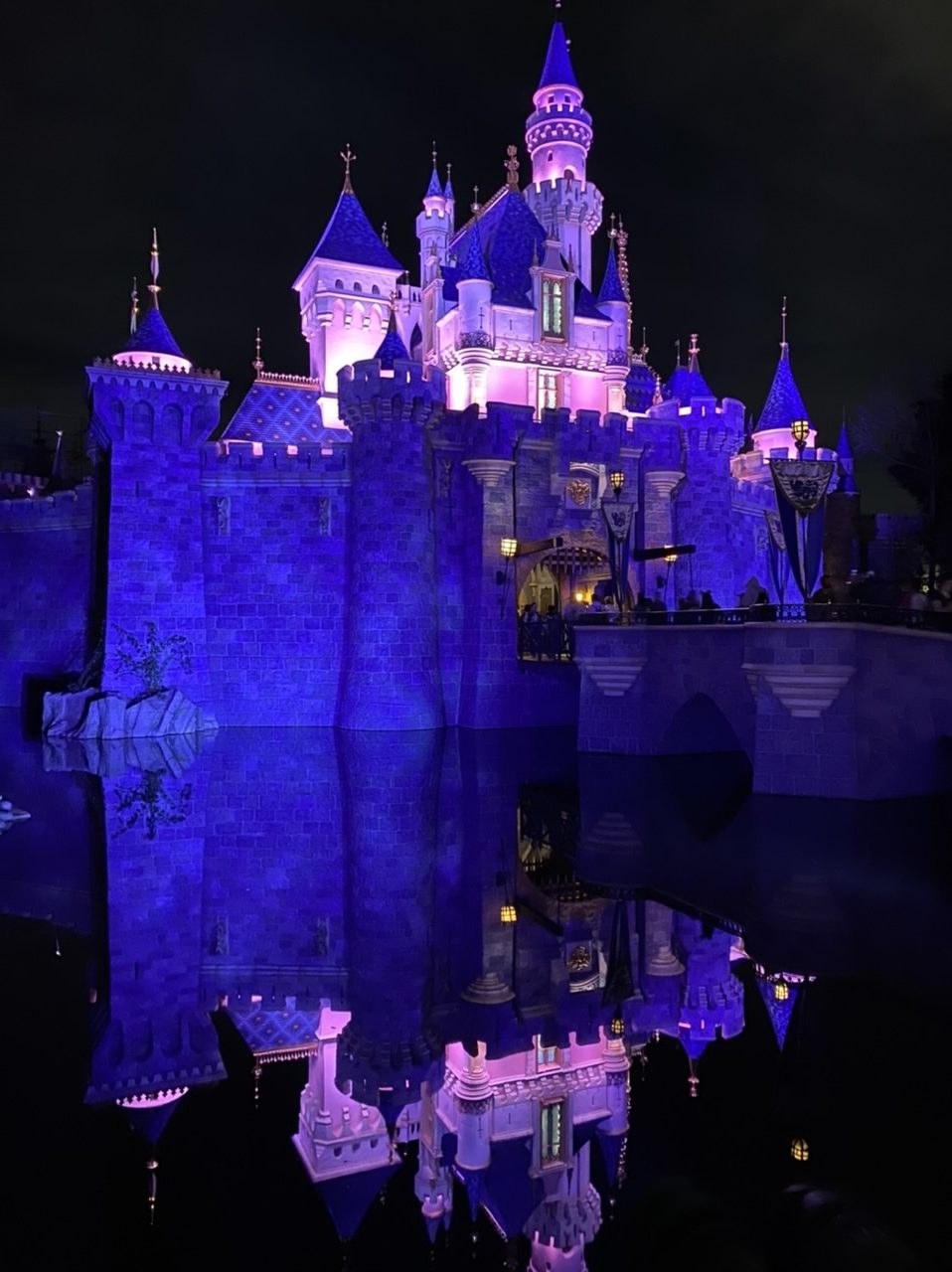 The Disneyland VIP Tour What You Need to Know